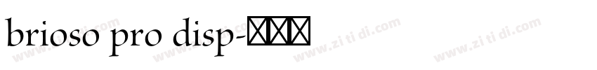 brioso pro disp字体转换